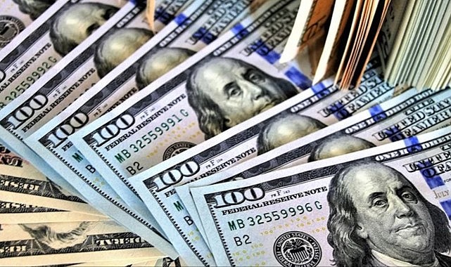 Hafize Gaye Erkan'ın istifası sonrası dolar kurunda hareketlilik