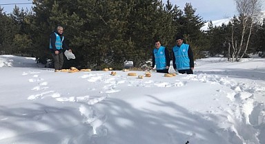 Kışın zorlu koşullarında yaban hayvanlarına destek eli