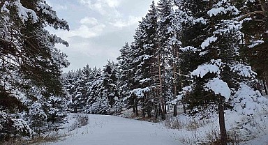 Meteorolojiden yoğun kar yağışı uyarısı