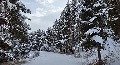 Meteorolojiden yoğun kar yağışı uyarısı