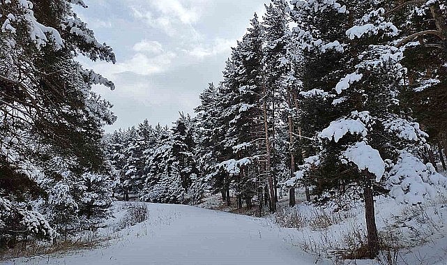 Meteorolojiden yoğun kar yağışı uyarısı