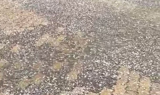Misket büyüklüğünde dolu yağdı