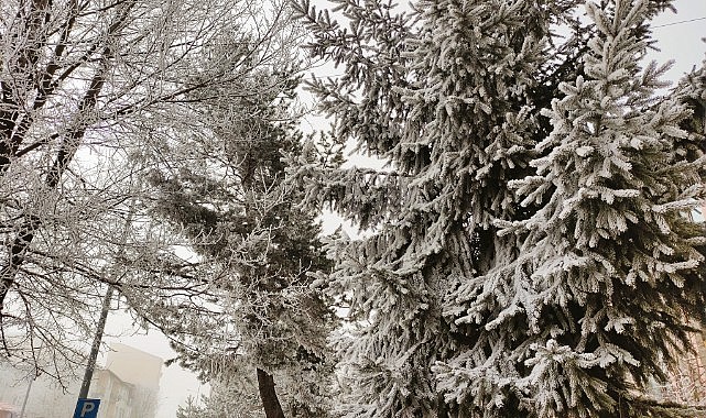 Sibirya soğukları Ardahan’ı dondurdu