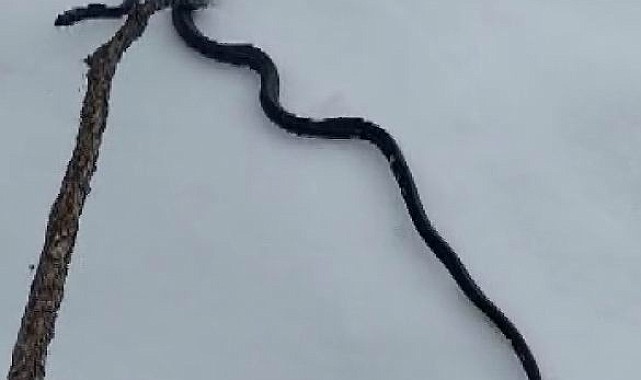 Tunceli'yi tedirgin eden görüntü