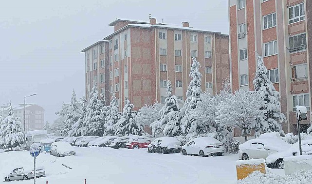 Van'da karla gelen güzellik