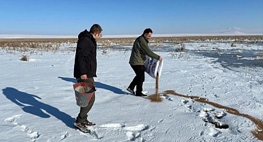 Yaban hayatı için Hanak’ta doğaya yem bırakıldı