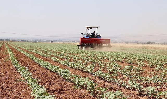 Ardahan'da Kırsal Kalkınma Hibe Başvuruları için son gün 29 Mart!