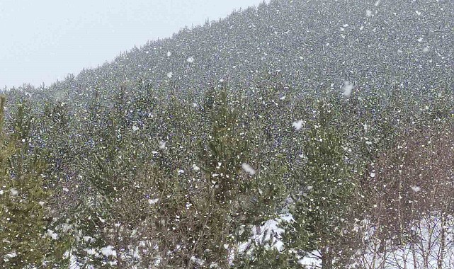 Ardahan'ın yüksek kesimlerinde kar yağışı etkili oldu