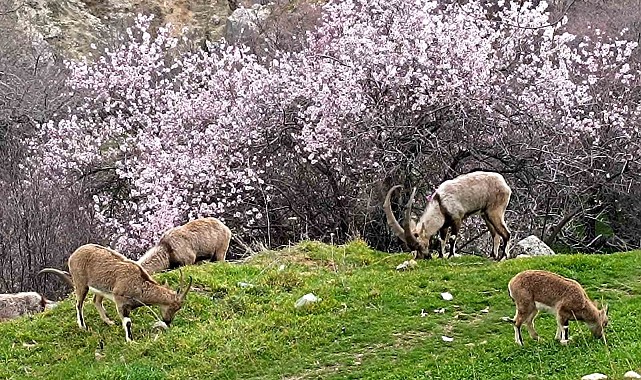 Aynı il iki farklı mevsim