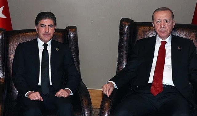 Erdoğan'dan bölge ülkelerini kalkındıracak projeye tam destek