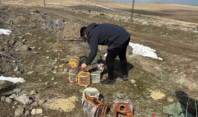 Kaçak keklik avlayan 4 kişiye 88 bin lira idari para cezası kesildi