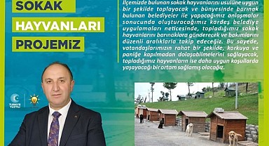 Kurukaya, “Sokak hayvanlarımızı sıcak yuvalarına kavuşturacağız”