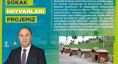Kurukaya, “Sokak hayvanlarımızı sıcak yuvalarına kavuşturacağız”