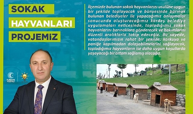 Kurukaya, “Sokak hayvanlarımızı sıcak yuvalarına kavuşturacağız”
