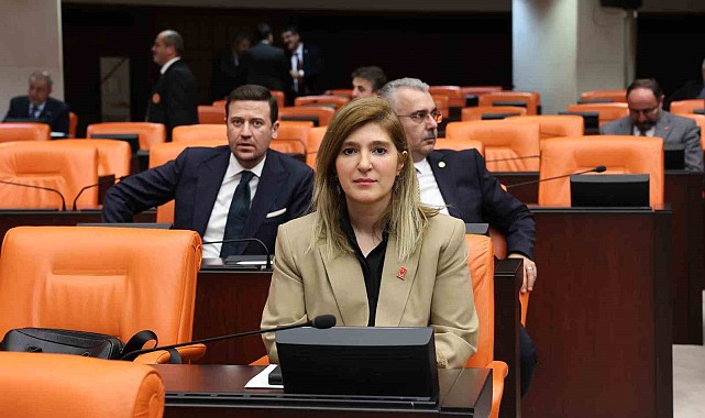 Milletvekili Ölmeztoprak: "Sekizinci yargı paketi yargımızda birçok iyileştirmeyi içinde barındırıyor"