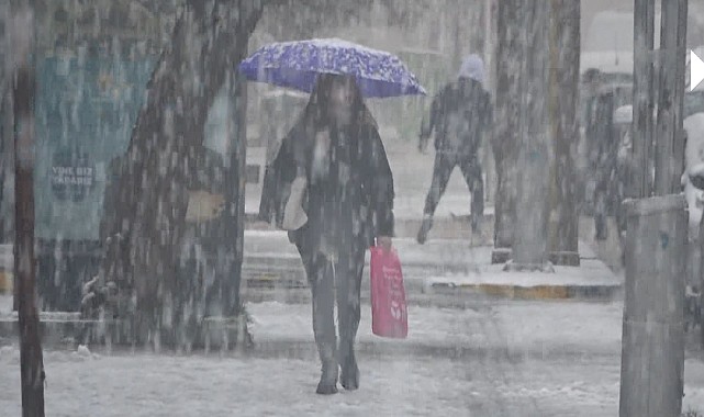 Muş'ta etkili olan kar yağışı 102 köy yolunu ulaşıma kapattı