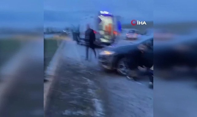 Önce köpeğe ardından refüjde bulunan ağaçlara çarptı: 1 yaralı