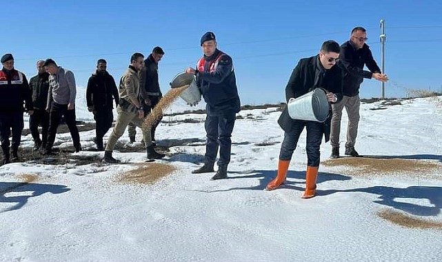 Sokak ve yaban hayvanları için yem bırakıldı