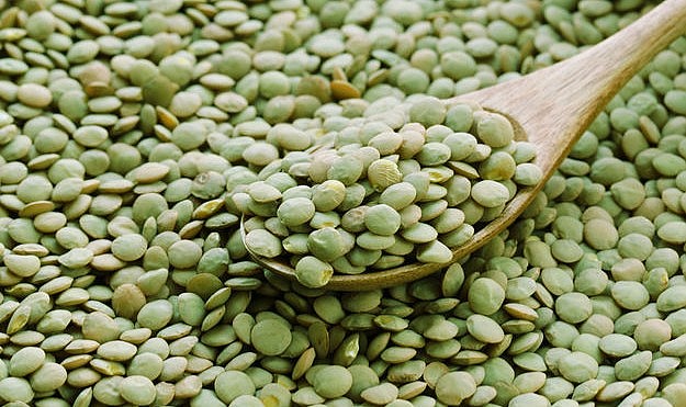 Yeşil Mercimek ile uzun süre tokluk mümkün