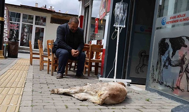 Dana Umut’un sahibinin merhameti görenlerin içini ısıttı
