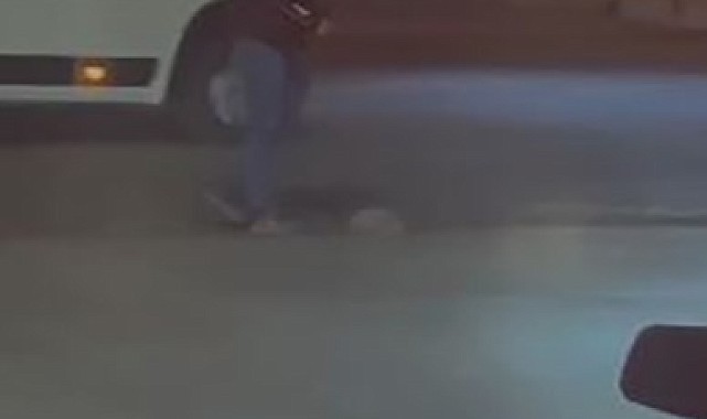 Duyarlı bir vatandaş, yola çıkan kirpiyi ezilmekten kurtardı