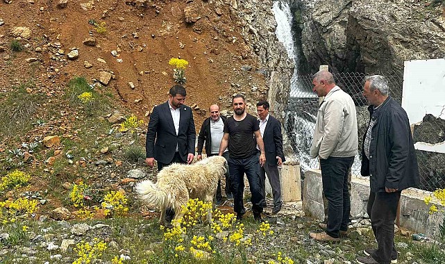 İhbar kendisine geldi, belediye başkanı köpek kurtarma operasyonuna katıldı