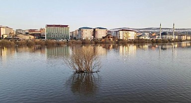 Kura Nehri'nin taşması doğal şölen oluşturdu