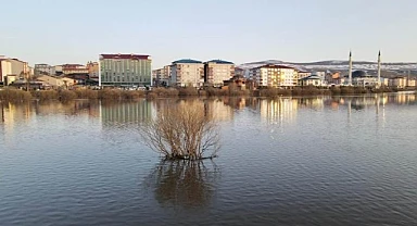 Kura Nehri'nin taşması doğal şölen oluşturdu