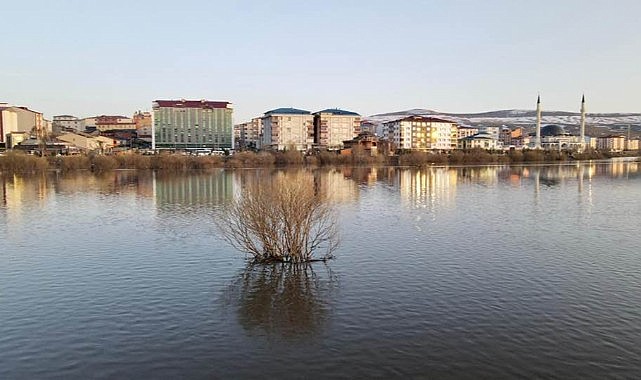 Kura Nehri'nin taşması doğal şölen oluşturdu