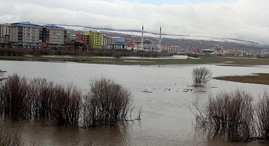 Kura nehri taştı, Ardahan ovası sular altında kaldı