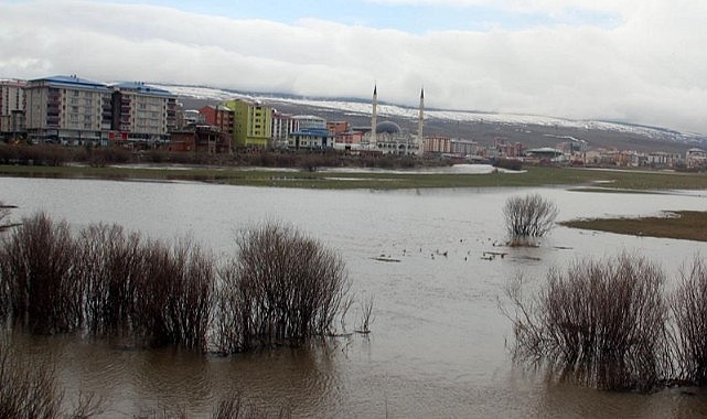 Kura nehri taştı, Ardahan ovası sular altında kaldı