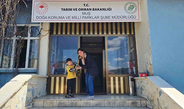Muşlu çocuk bulduğu yavru kulaklı baykuşun hayatını kurtardı