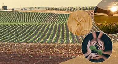 Tarımsal örgütlerin değerlendirilme süreci başladı