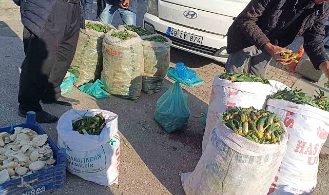 Vatandaşlar şifalı bitkileri satarak geçimlerini sağlıyor