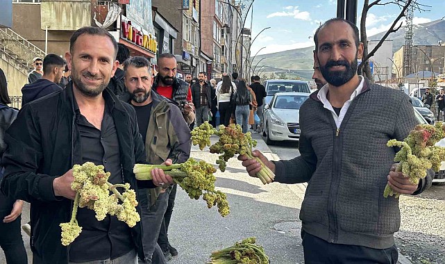 Yayla muzunun destesi 100 TL'den satışa çıkarıldı