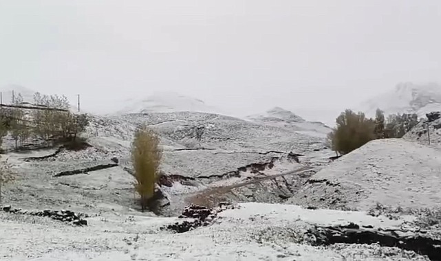 Ağrı'nın yüksek kesimleri yağan karla beyaza büründü