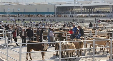 Ardahan'da kurbanlık fiyatları katlanarak yükseldi