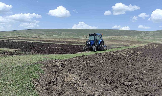 Ardahan'da ata tohumu toprakla buluşturuluyor