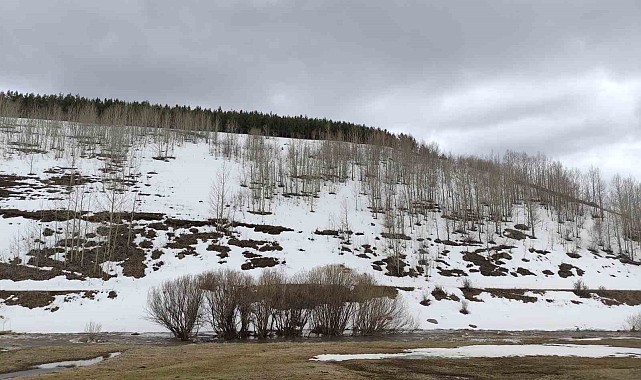 Ardahan'da bahar ve kış bir arada