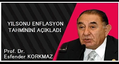 Ardahanlı ekonomist Prof. Korkmaz, yılsonu enflasyon tahminini açıkladı