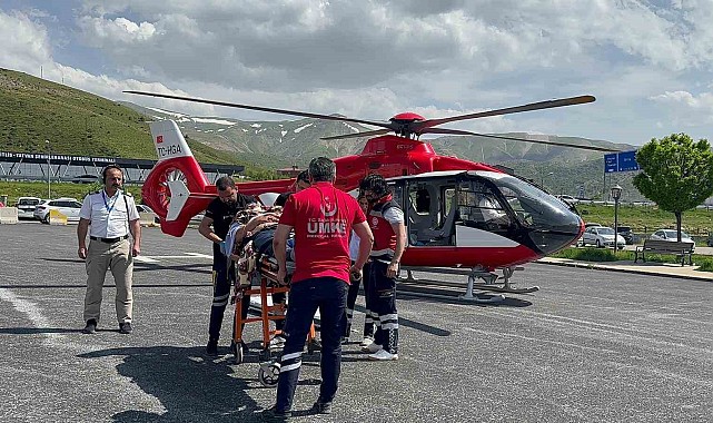 Arıların soktuğu hasta ambulans helikopterle Tatvan'a sevk edildi
