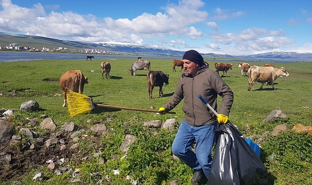 Belediye personelinden temizlik esnasında inek trafik kontrolü