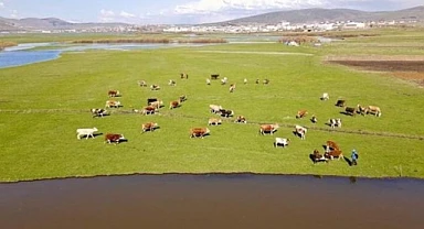 Besiciler yaylalara çıkamadı