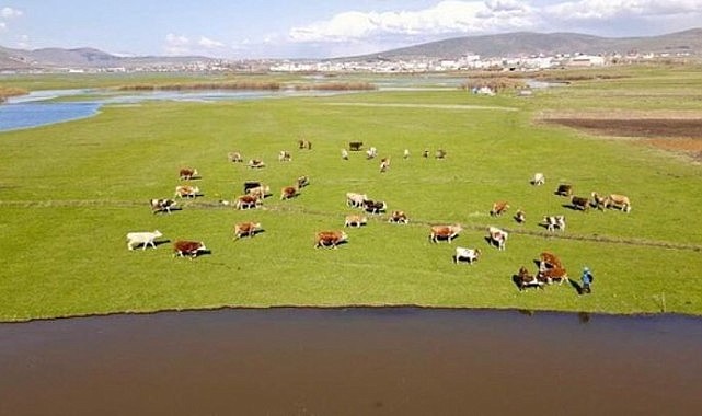 Besiciler yaylalara çıkamadı