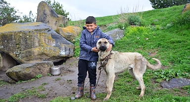 Ardahan'da fotoğrafçılık eğitimleri verildi
