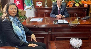 Göle Belediyesi sokak hayvanları için harekete geçti