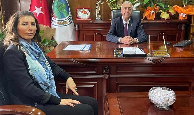 Göle Belediyesi sokak hayvanları için harekete geçti