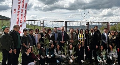 Göle'de öğrenciler fidan dikti