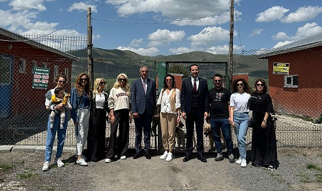 Göle’de sokak hayvanları itlaf edilmeyecek