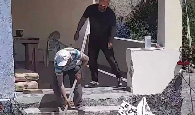 Havalar ısındı, yılanlar evlere girmeye başladı